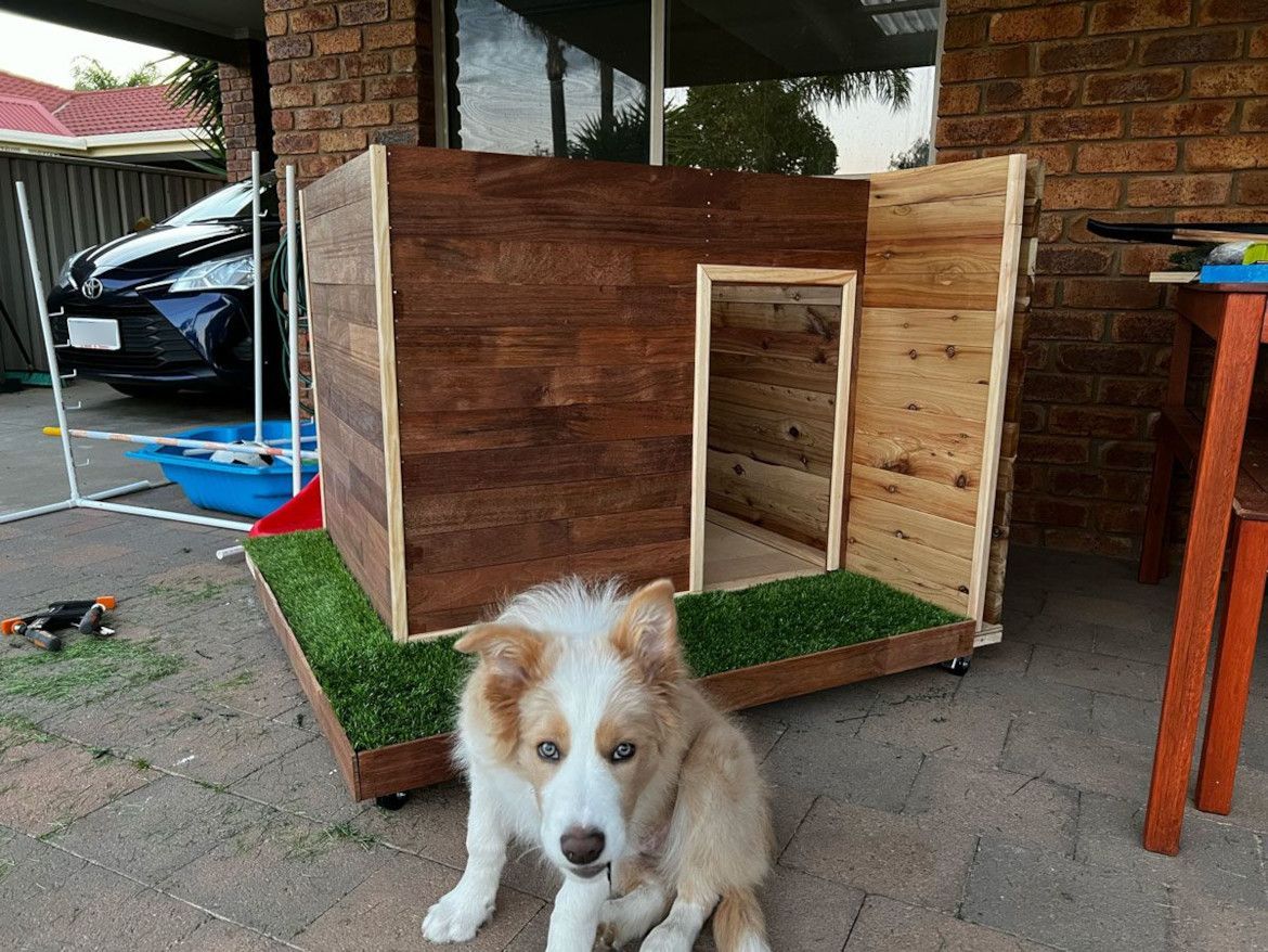 Retriever kennel platform and hot sale ramp