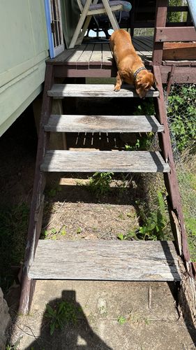 Dad, it's about the back steps...?