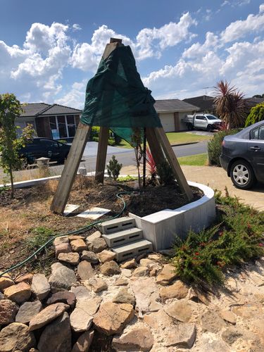 Knock together tree teepee