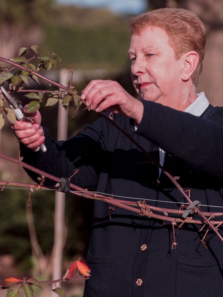 Gardening provides "terrific reward-for-effort".