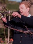 Gardening provides "terrific reward-for-effort".