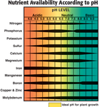 pH and nutrient availability.png