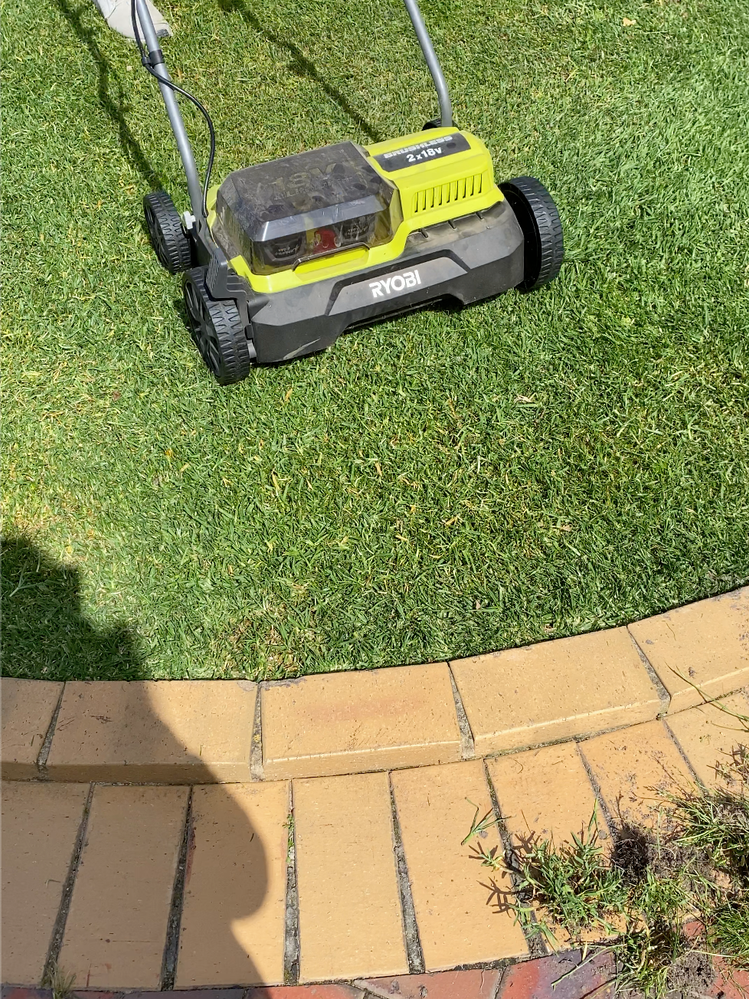 Scarifier bunnings deals