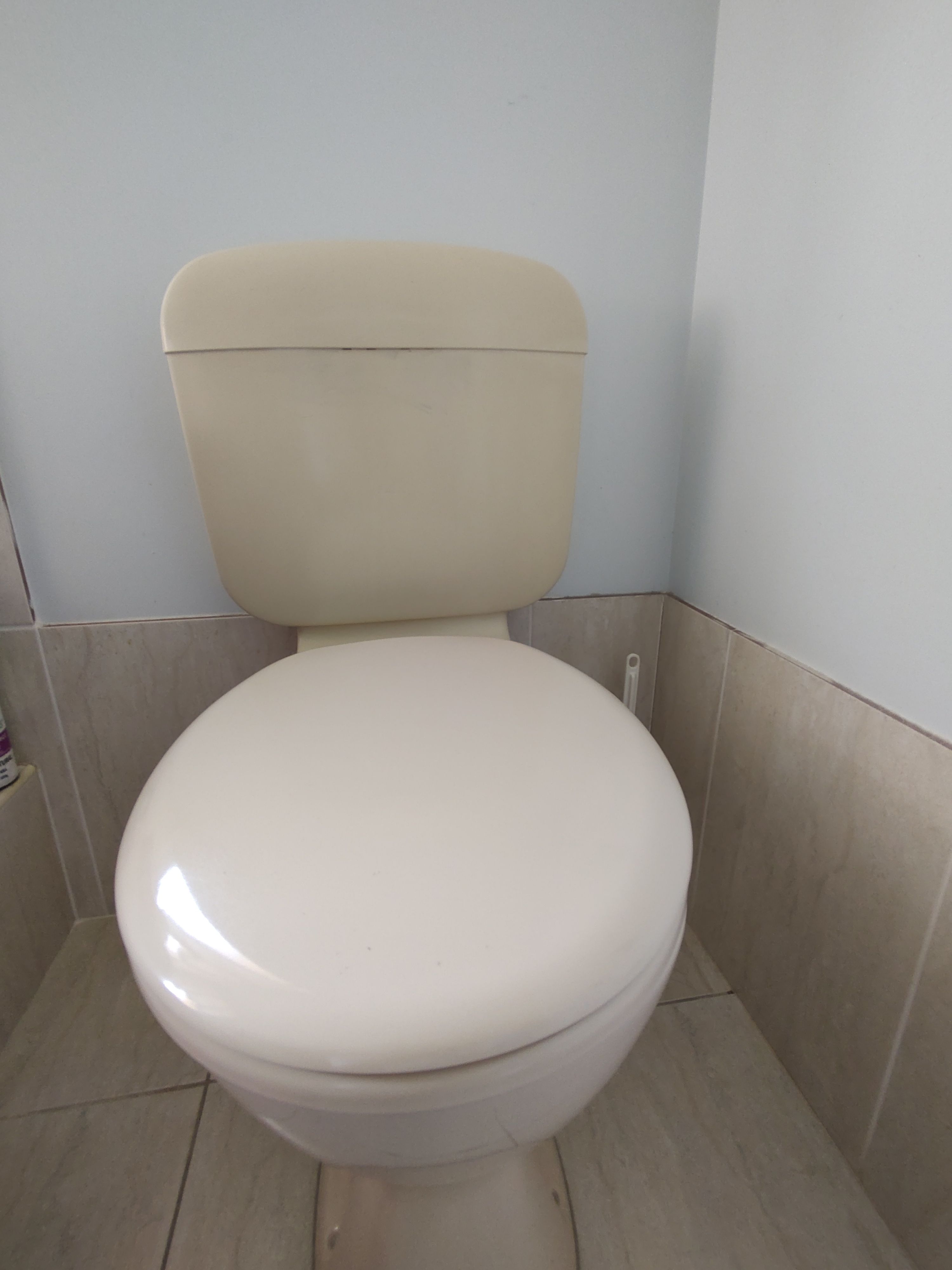 how-to-fix-leaking-toilet-cistern-bunnings-workshop-community