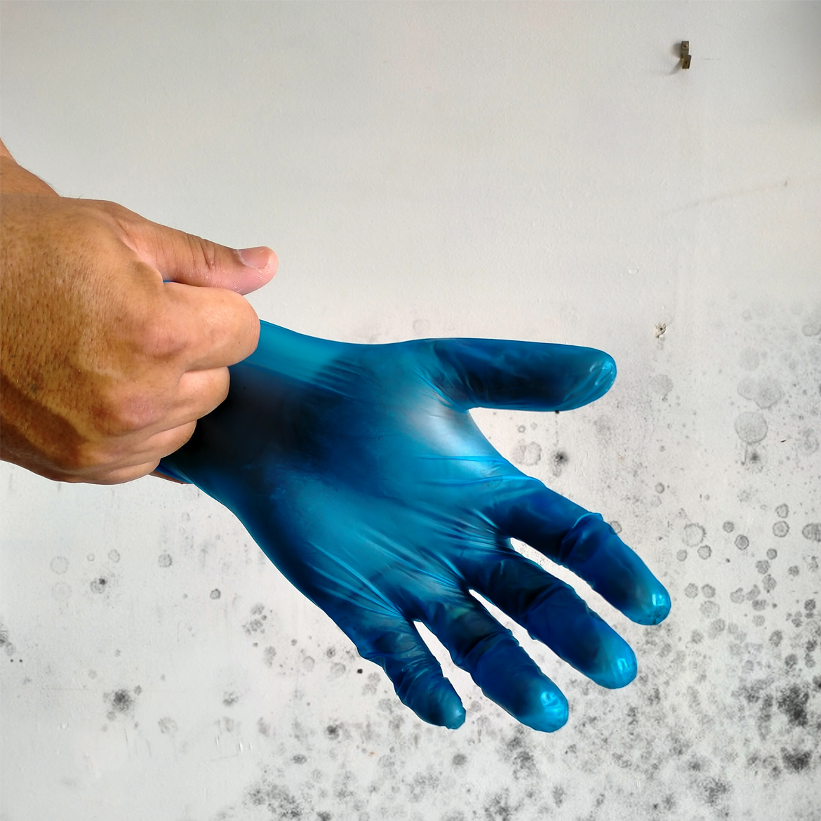 how-to-remove-mould-stains-from-walls-bunnings-workshop-community