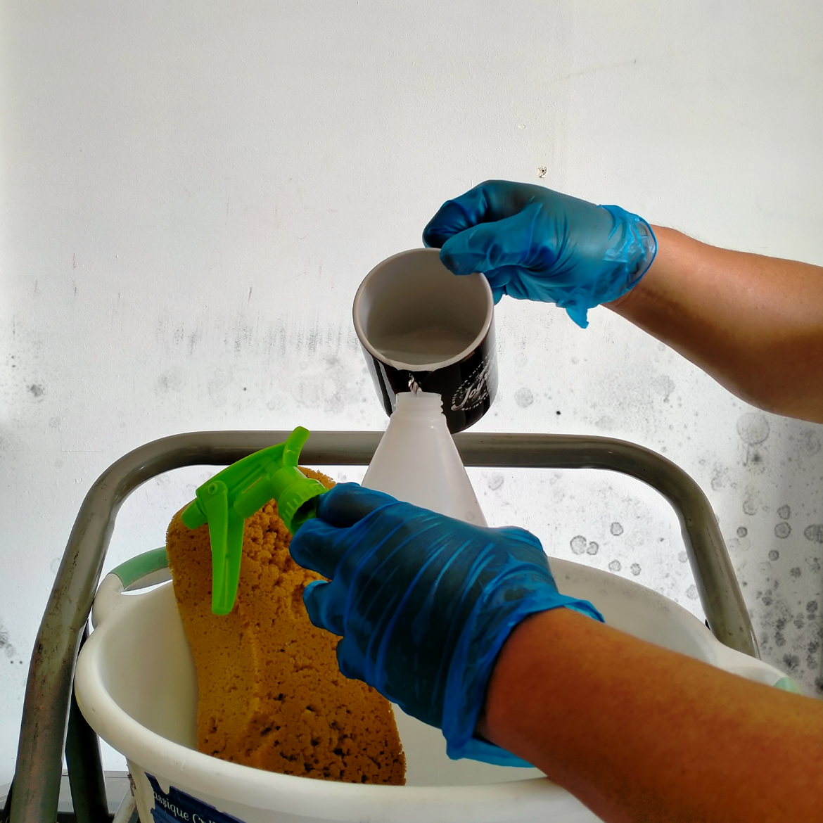 how-to-remove-mould-stains-from-walls-bunnings-workshop-community