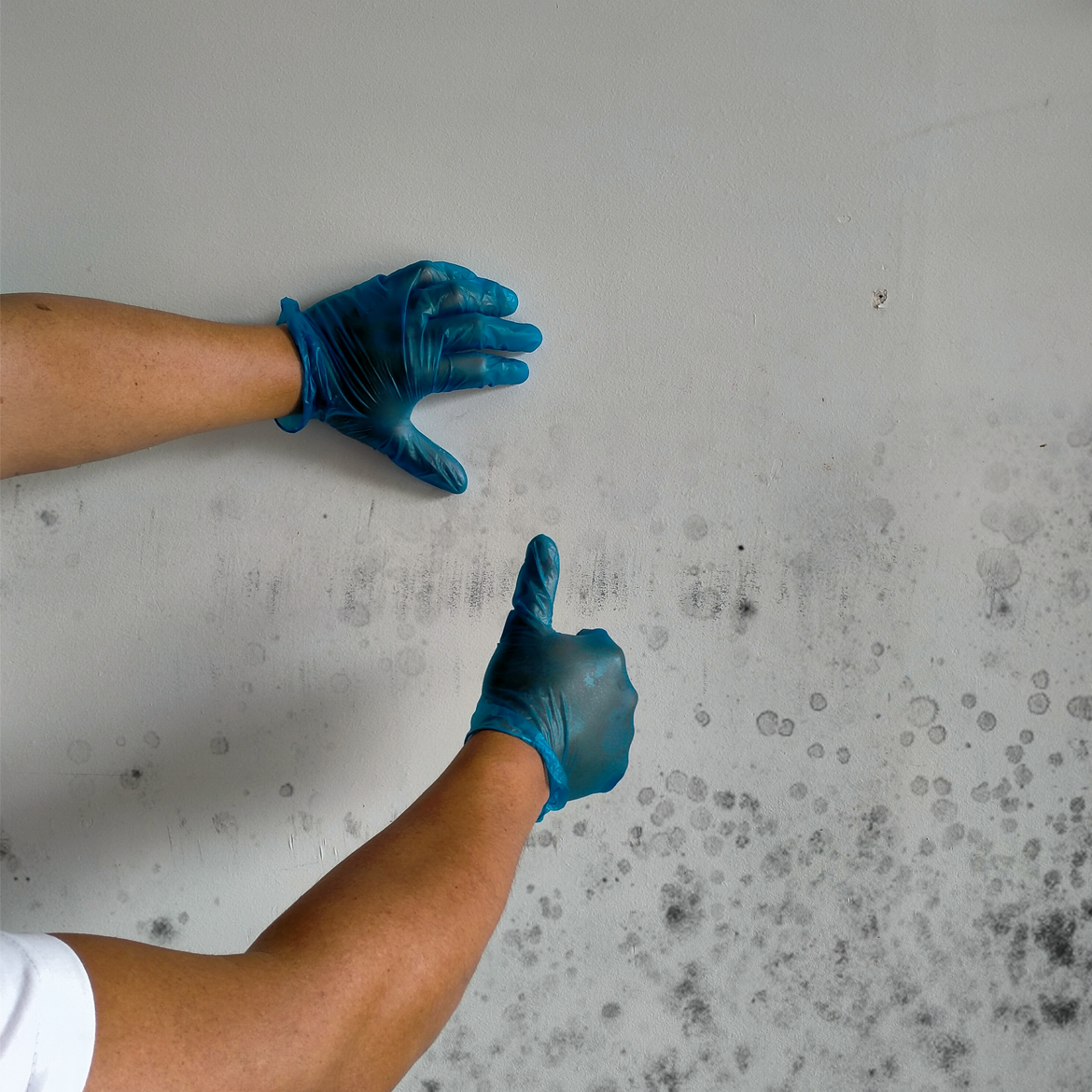 How To Remove Mould Stains From Walls