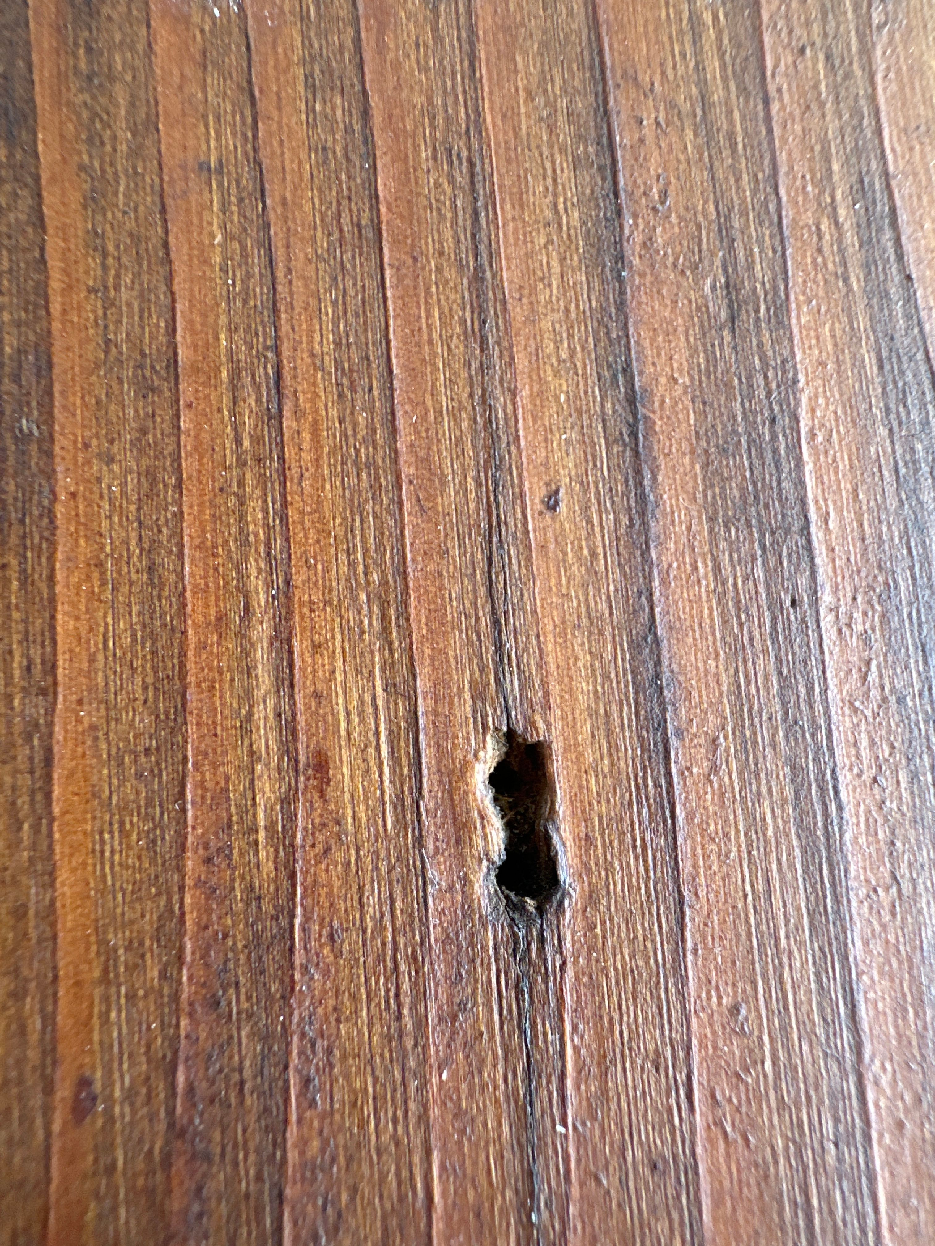 How to kill woodworm in old furniture Bunnings Workshop community