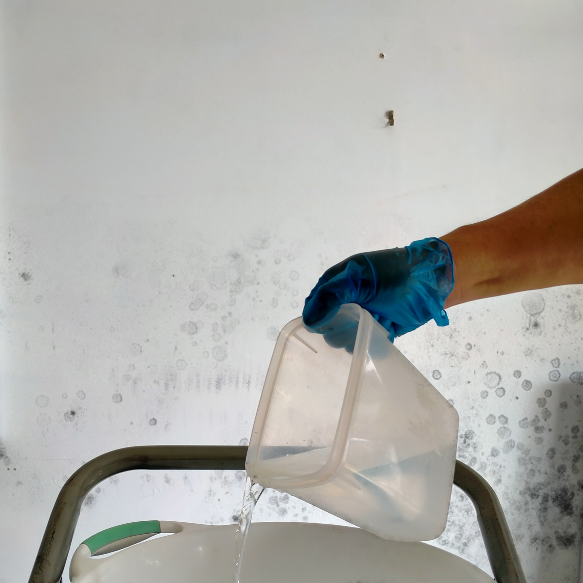 how-to-remove-mould-stains-from-walls-bunnings-workshop-community