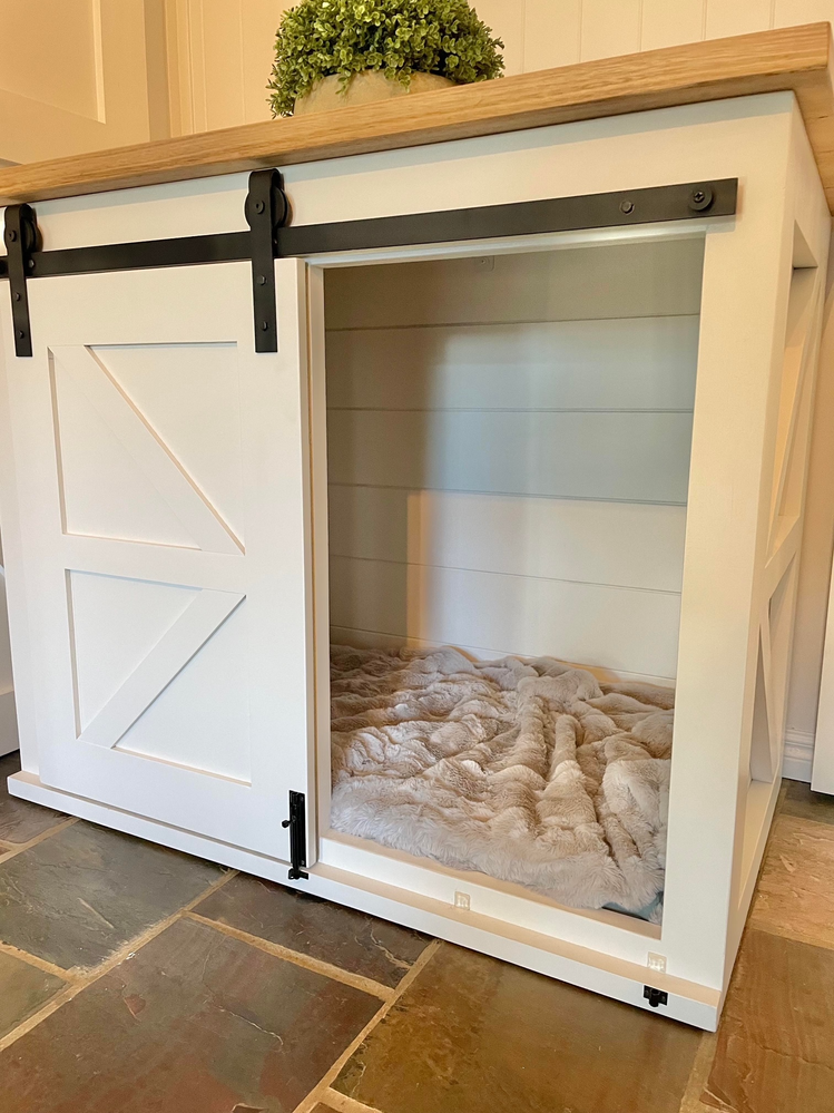 Dog crate with outlet barn door