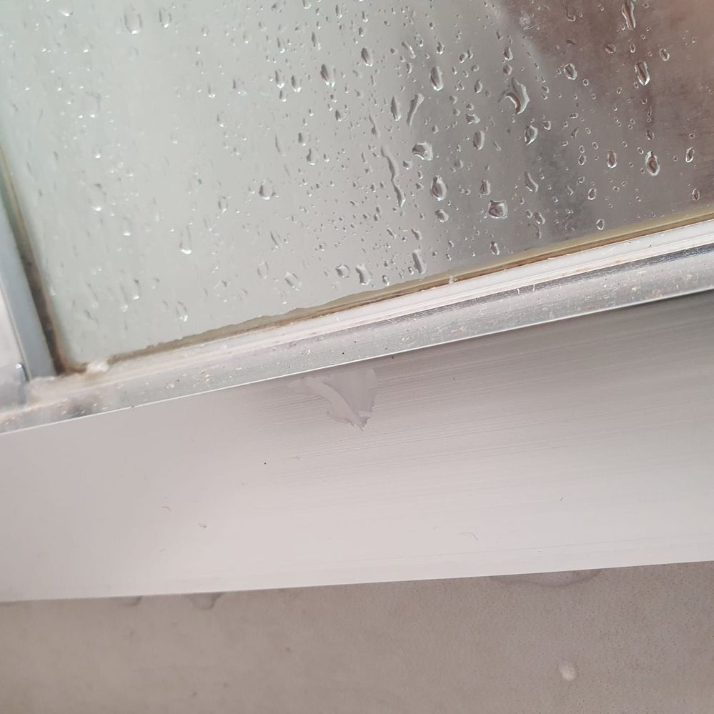 Solved How Can I Fix Shower Leak Issues Bunnings Workshop Community   Large