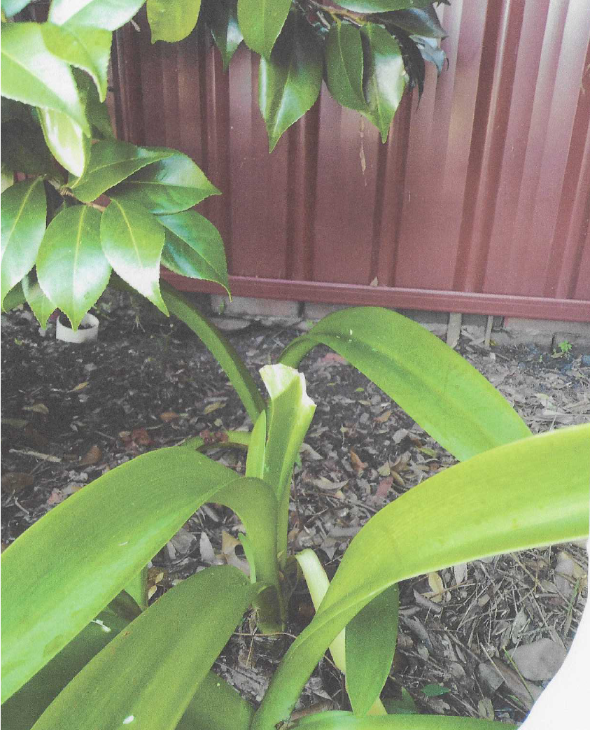 how-to-stop-overflowing-water-from-other-bunnings-workshop-community