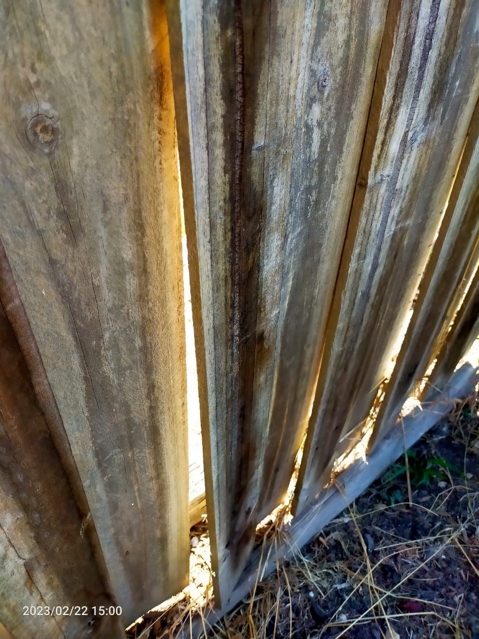 How To Repair A Fence? | Bunnings Workshop Community