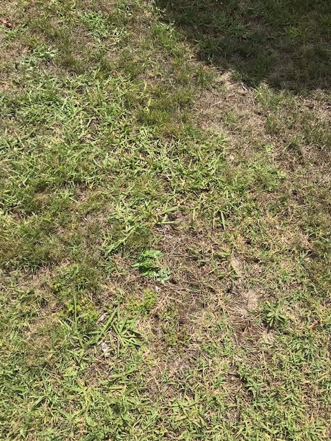 How Do You Fix A Compacted Lawn ? 