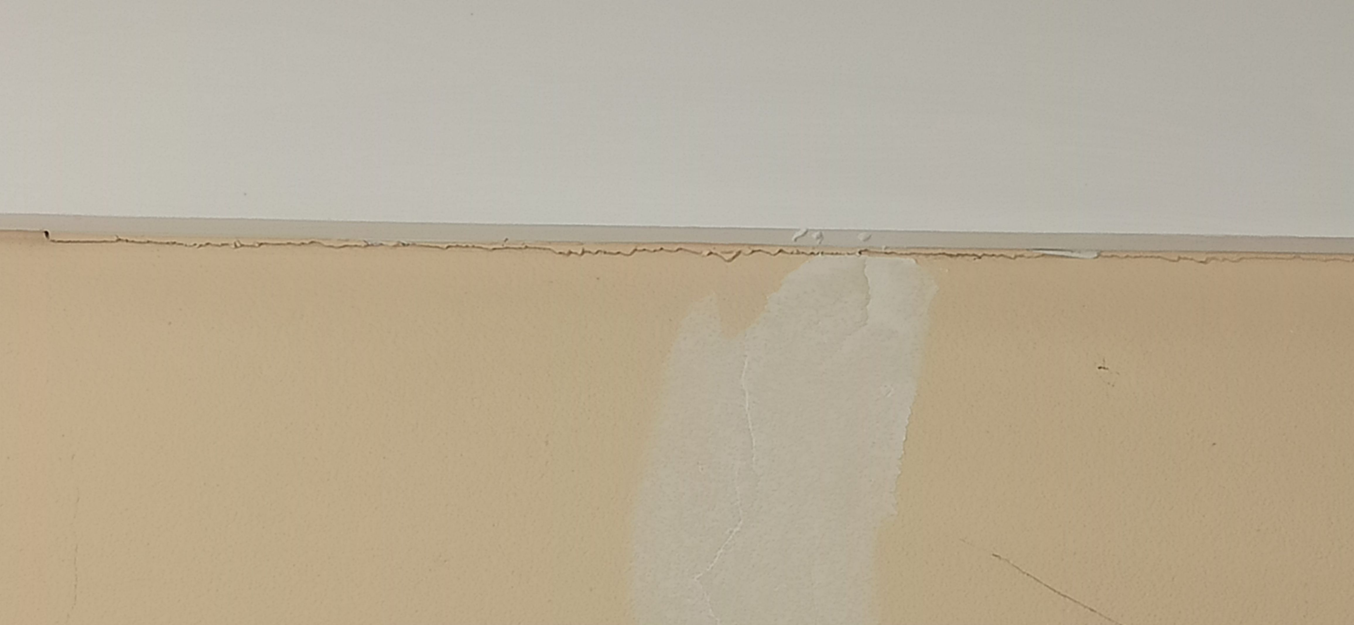 How to fix cracks between ceiling cornic... | Bunnings Workshop community