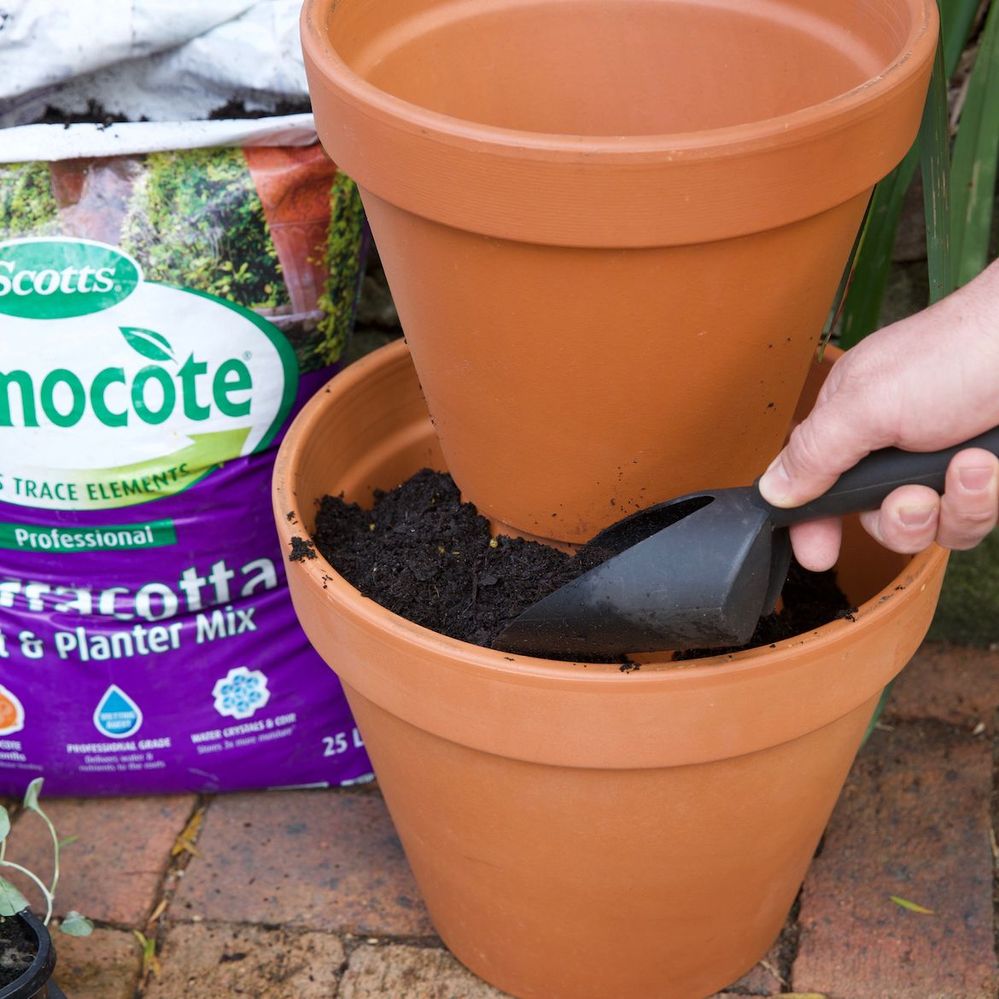 Step 3 Position glued pots and fill around with potting mix.jpg