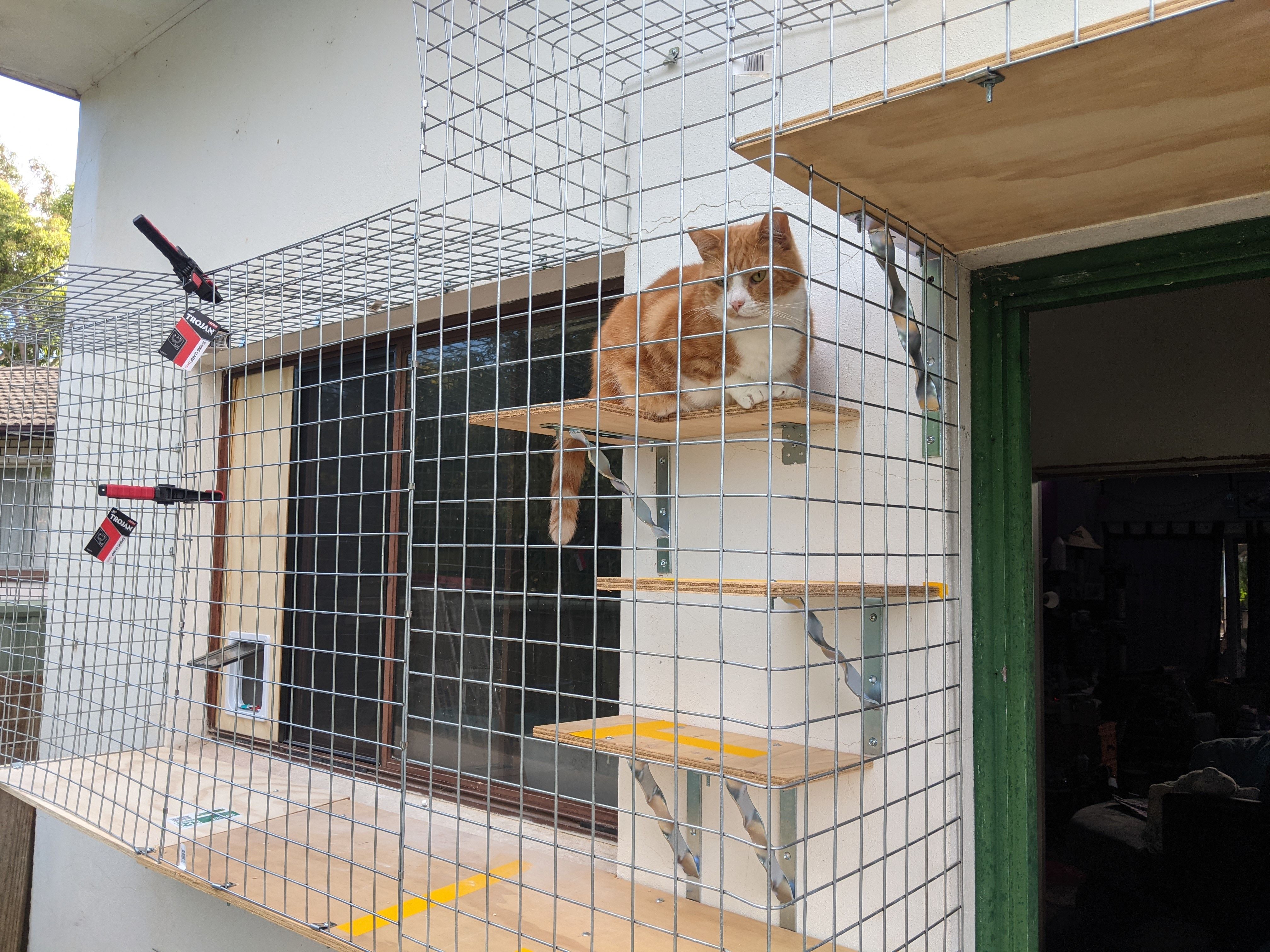 Cat sales fence bunnings