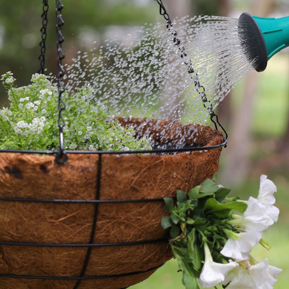 Step 6 Position your basket and water well.jpg