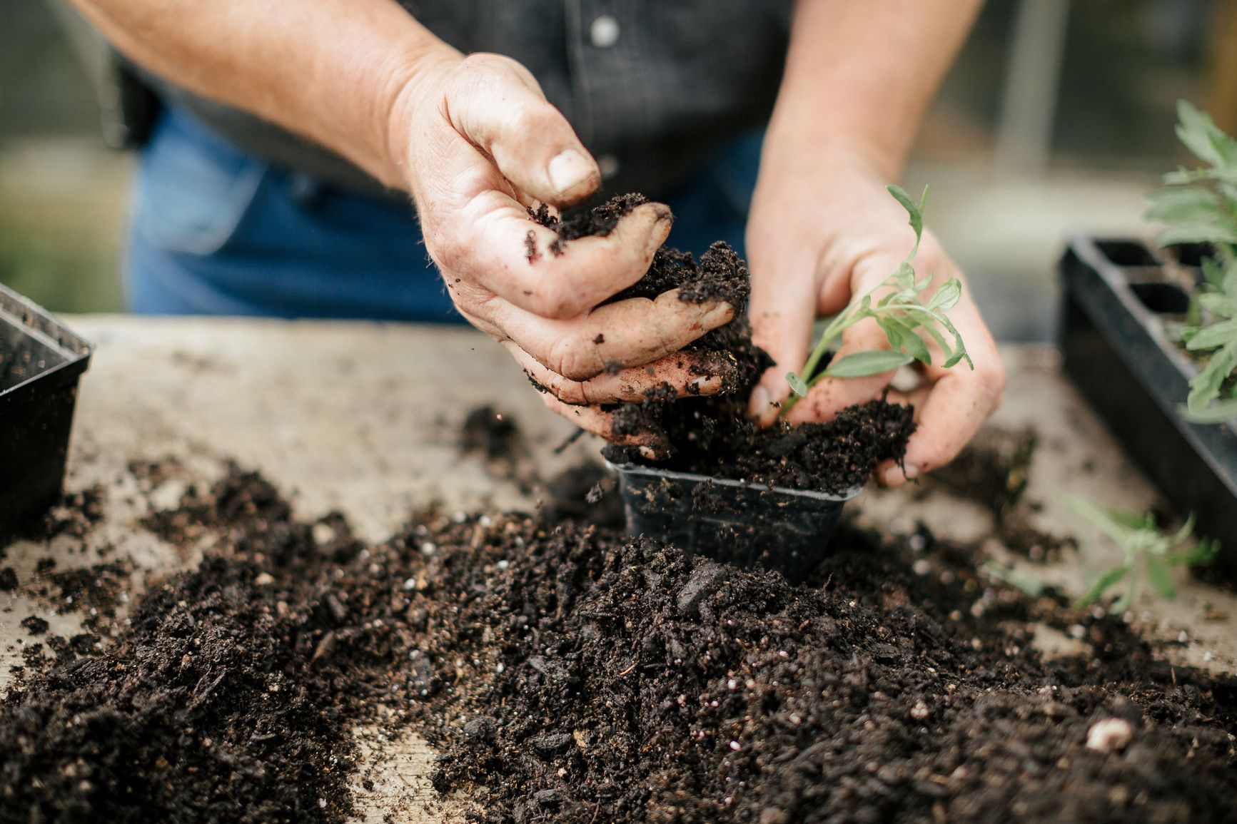 How long can you keep potting mix? | Bunnings Workshop community