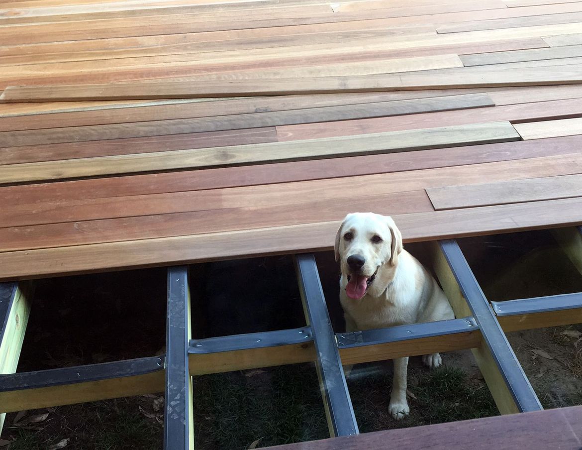 Spotted gum decking boards can look spectacular