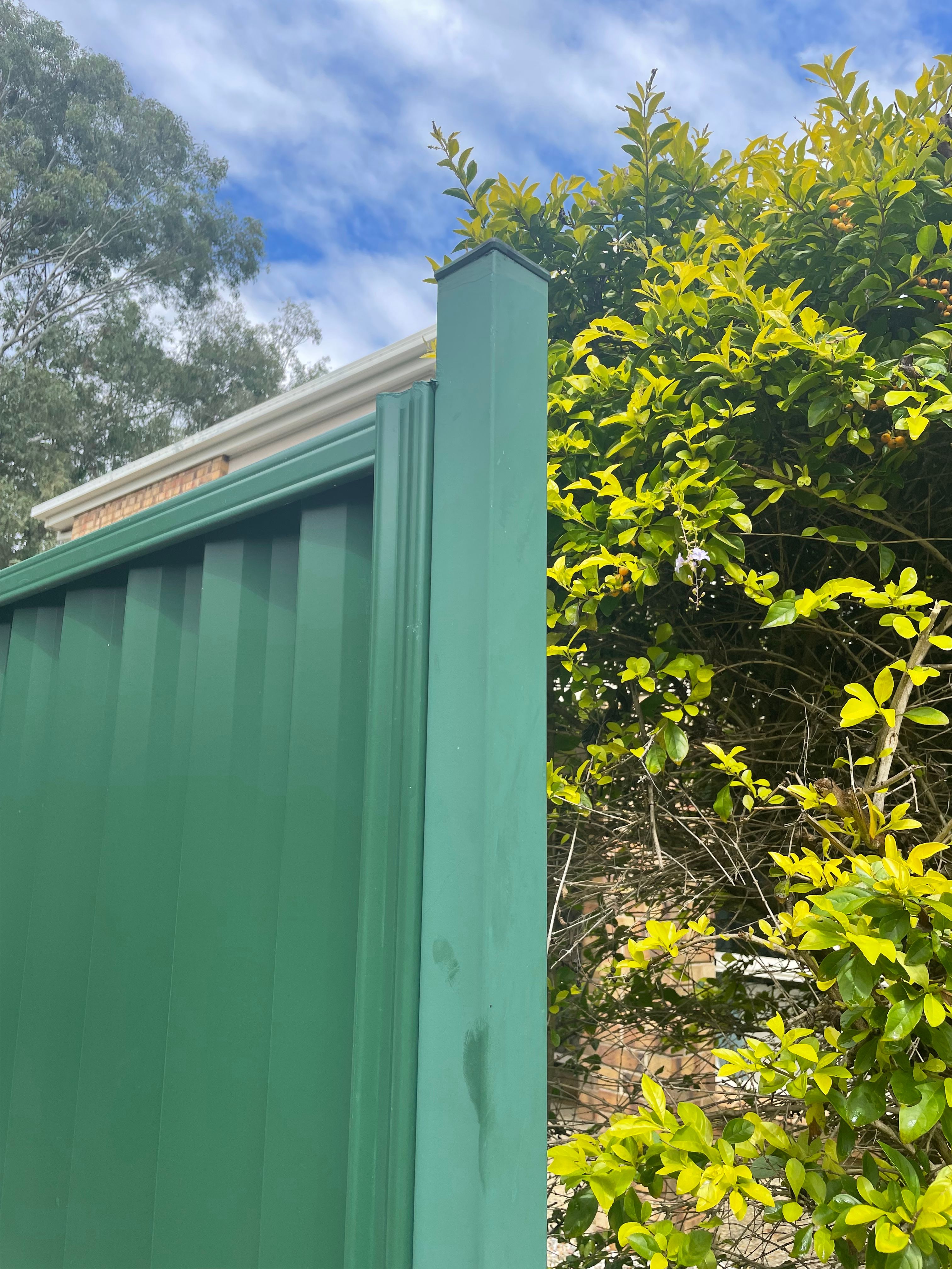 How to cover a Colorbond fence with timb... Bunnings community