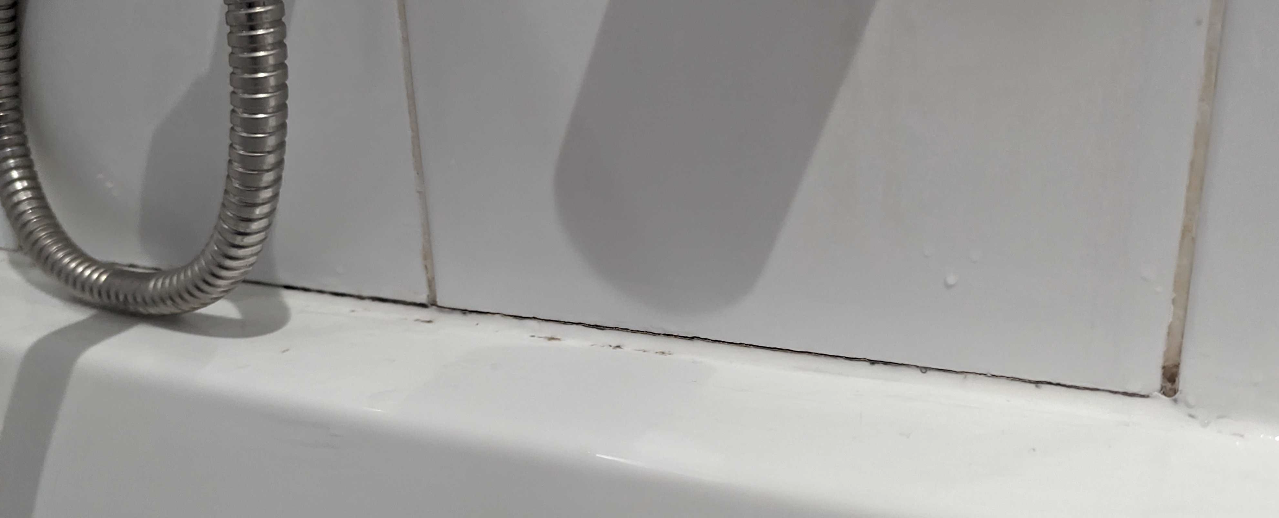 how-to-remove-black-mould-in-bathroom-on-bunnings-workshop-community