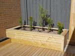 Planter boxes clad with timber decking boards