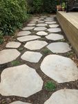 Bluestone rounds used to replace lawn
