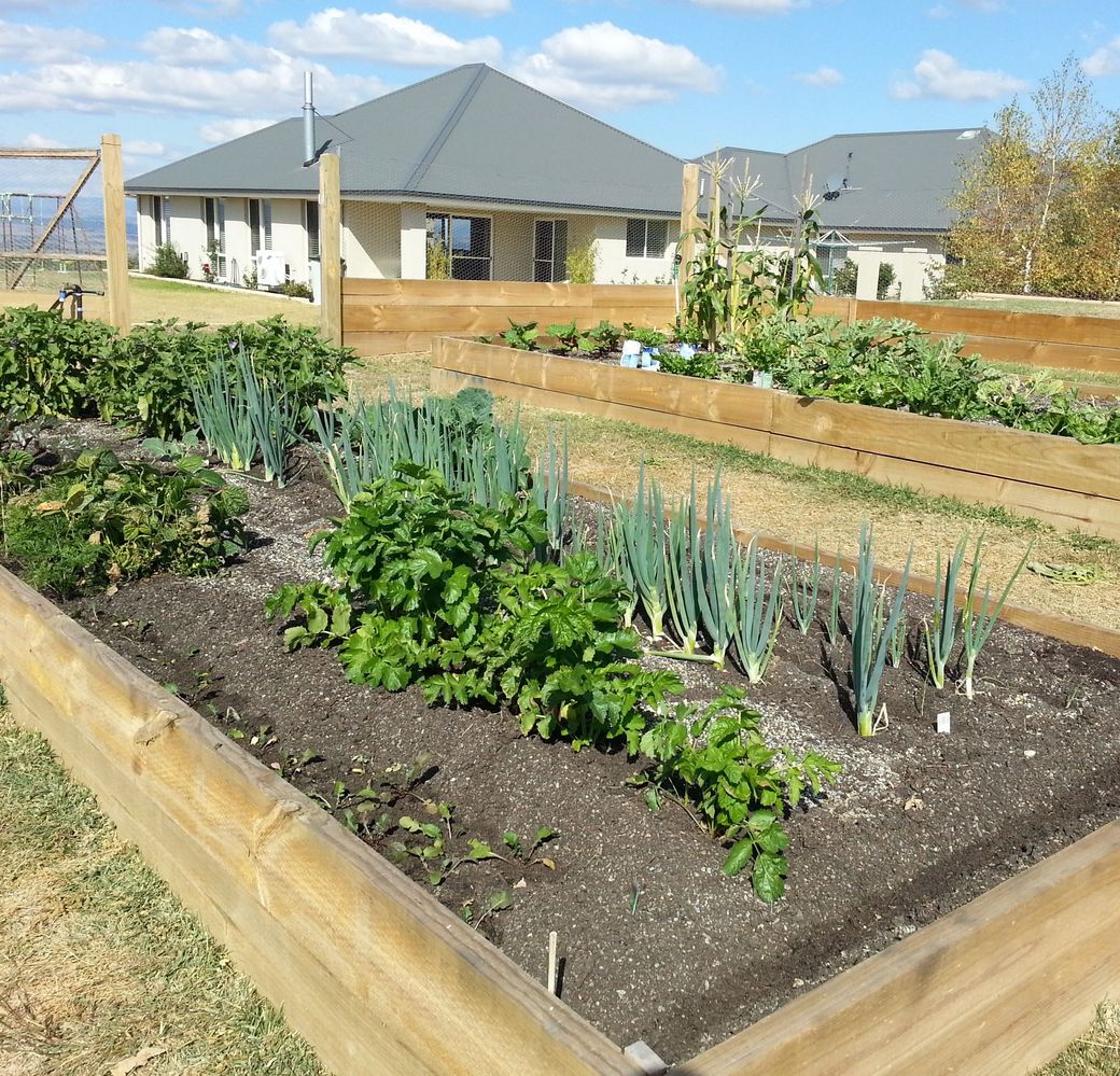 Timber sleepers are commonly used for raised garden beds