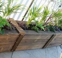 Top 10 most popular raised garden beds | Bunnings Workshop community