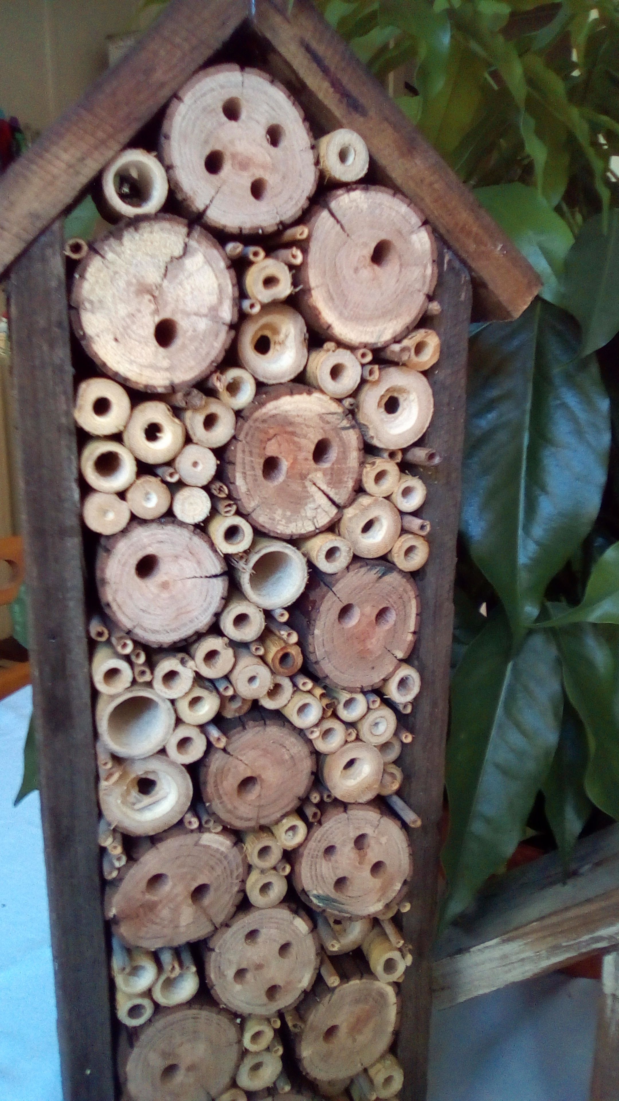 native-bee-hives-bunnings-workshop-community