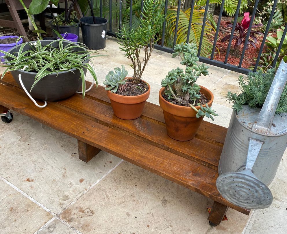 Low shop plant table