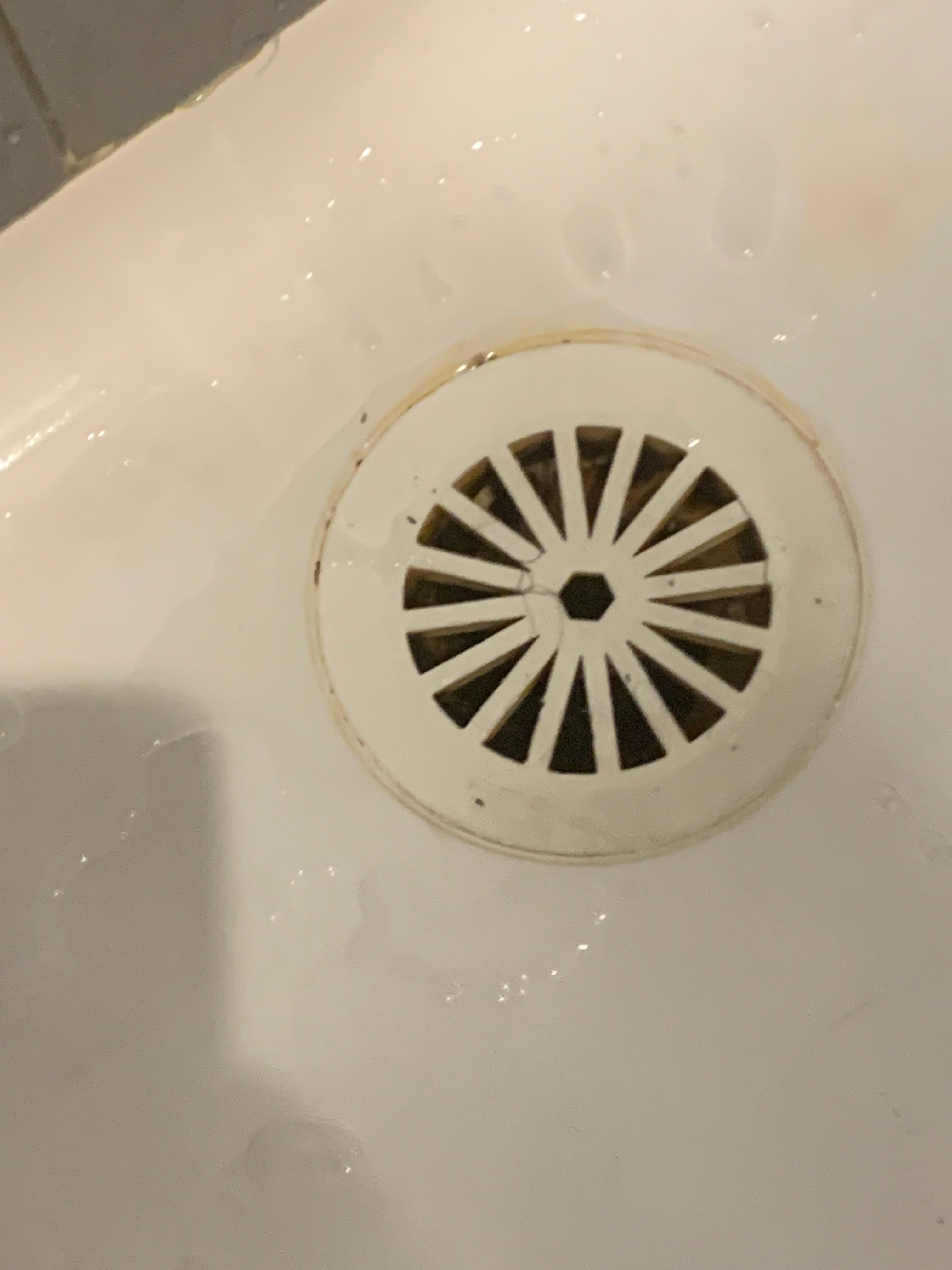 how-do-i-remove-this-shower-drain-bunnings-workshop-community