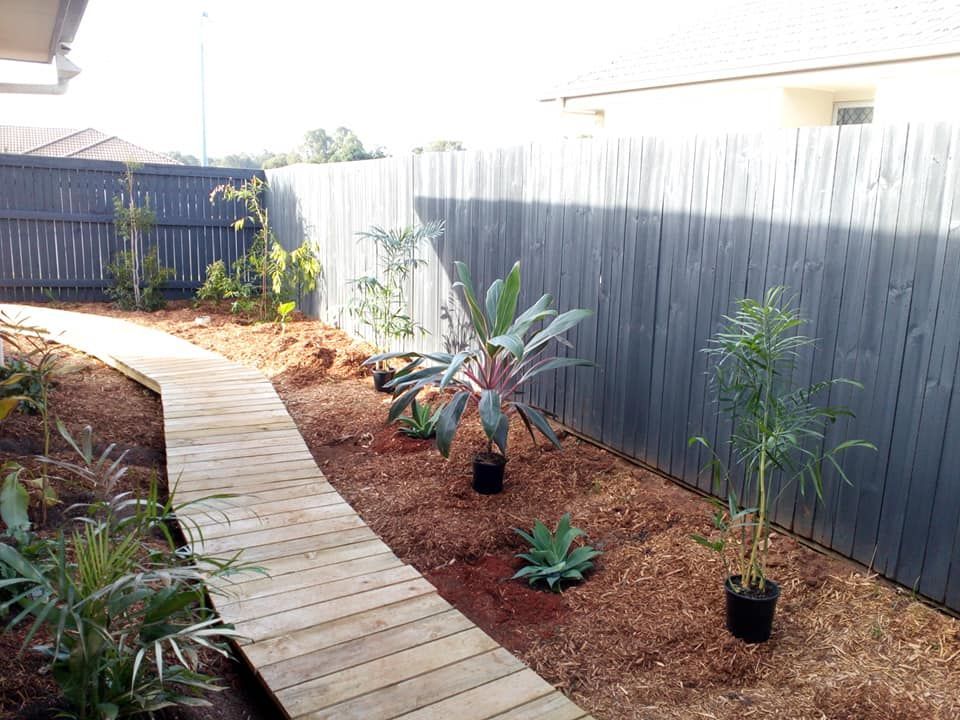 Palms, agave, variegated cordylines