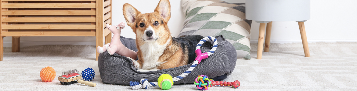 Bunnings hotsell dog mat