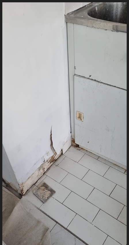 How to repair damp wall damage? | Bunnings Workshop community