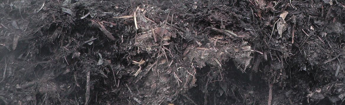 Compost_steaming_-_detail_2.jpg