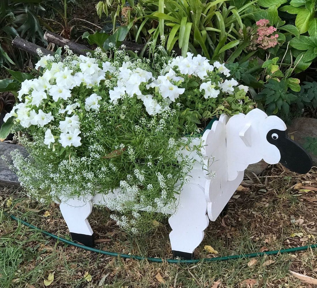 Jamespeter100 shared how to make a sheep planter