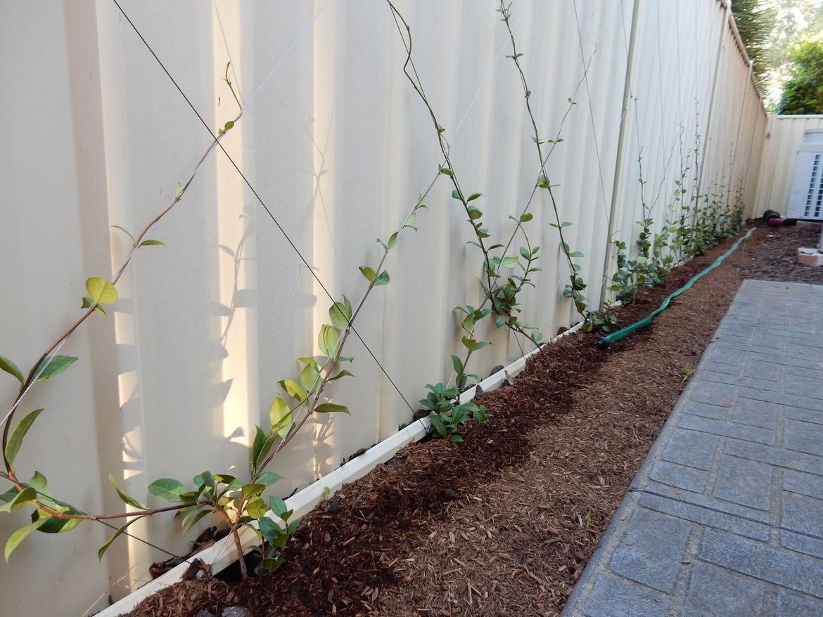 Training climbers to screen a fence