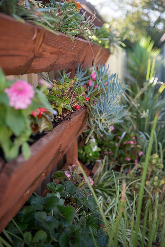 Kel's stunning vertical garden