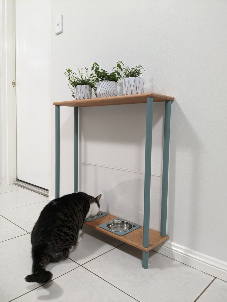 Cat feeding station with built in splash Bunnings Workshop