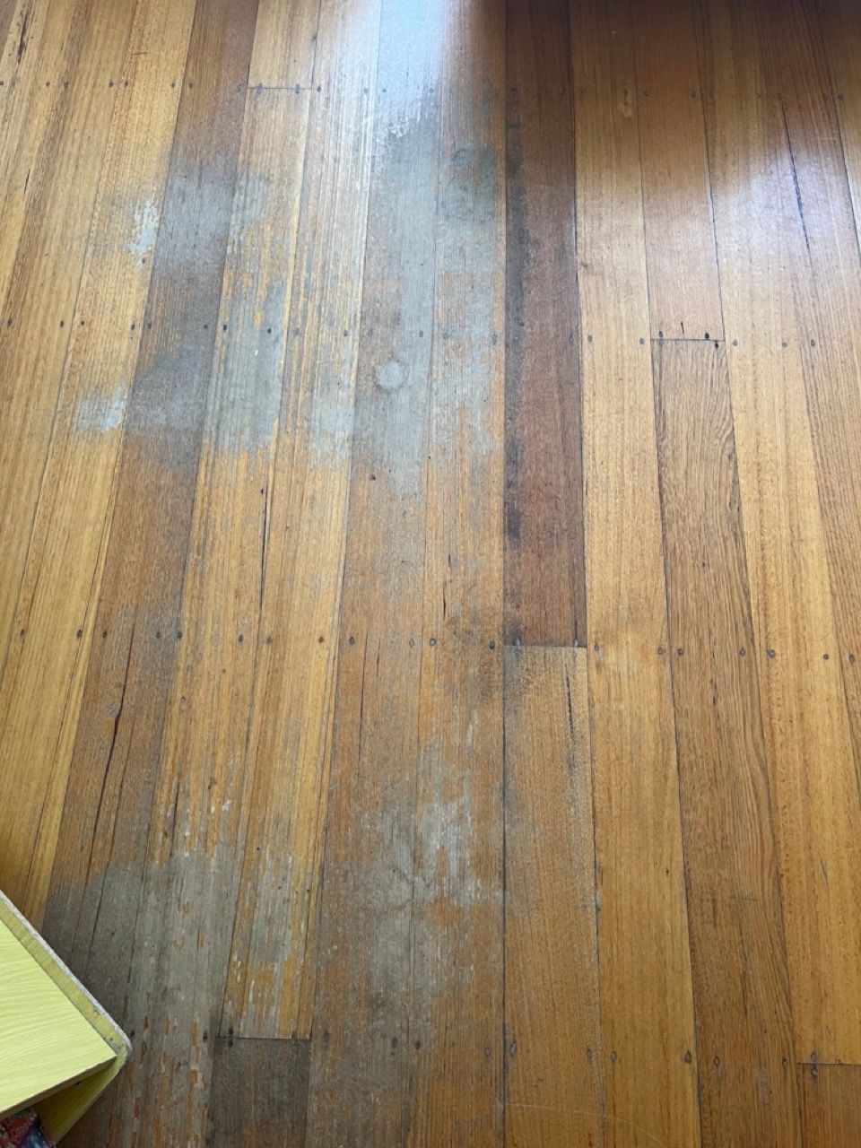 How to restain hardwood floor? | Bunnings Workshop community