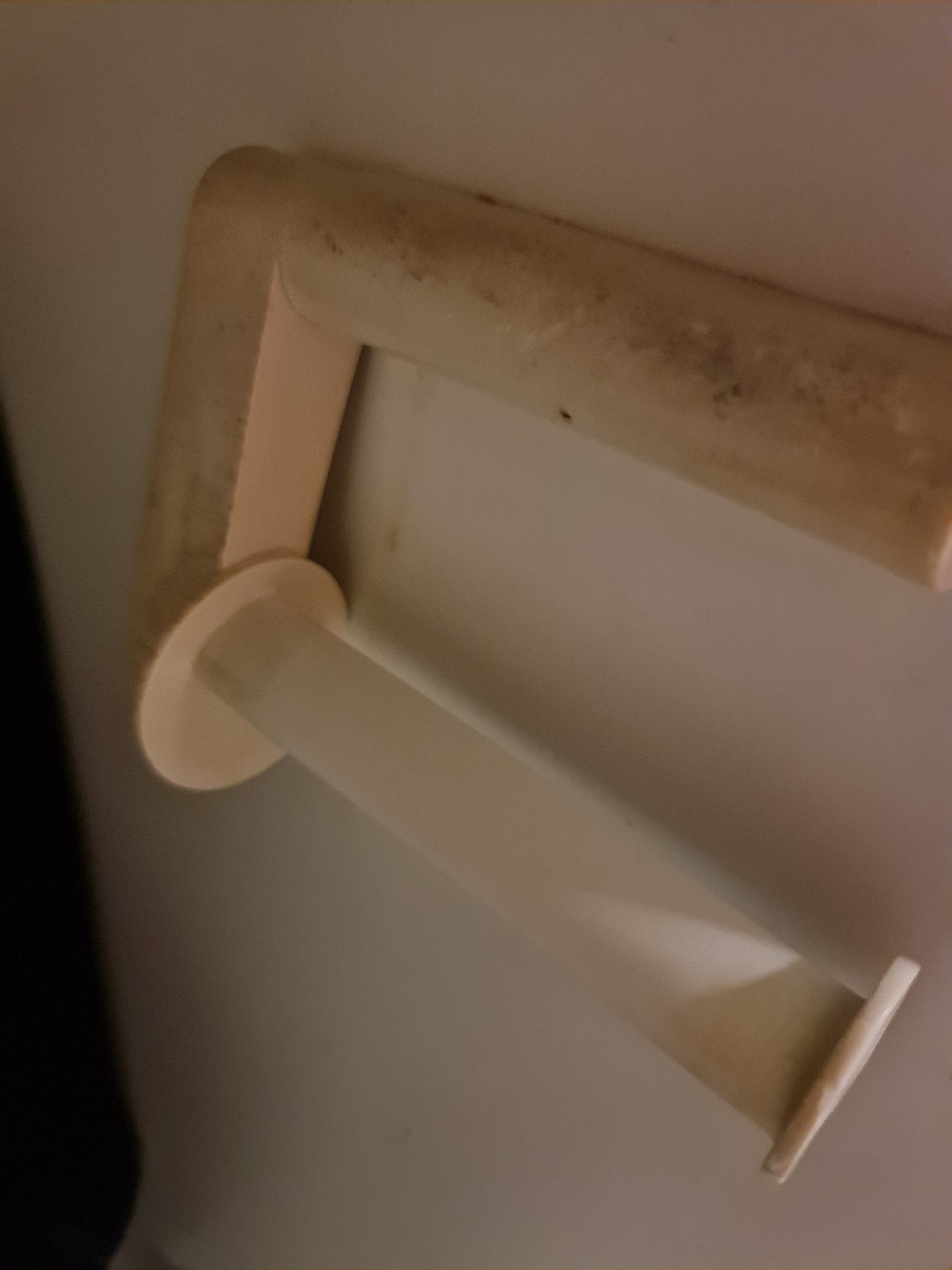 How to remove toilet paper holder? | Bunnings Workshop community