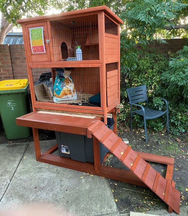 Multi-storey rabbit hutch | Bunnings Workshop community