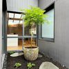 Courtyard garden makeover