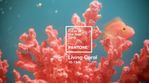 pantone-colour-of-year-2019-living-coral-design_dezeen_hero-852x479.jpg