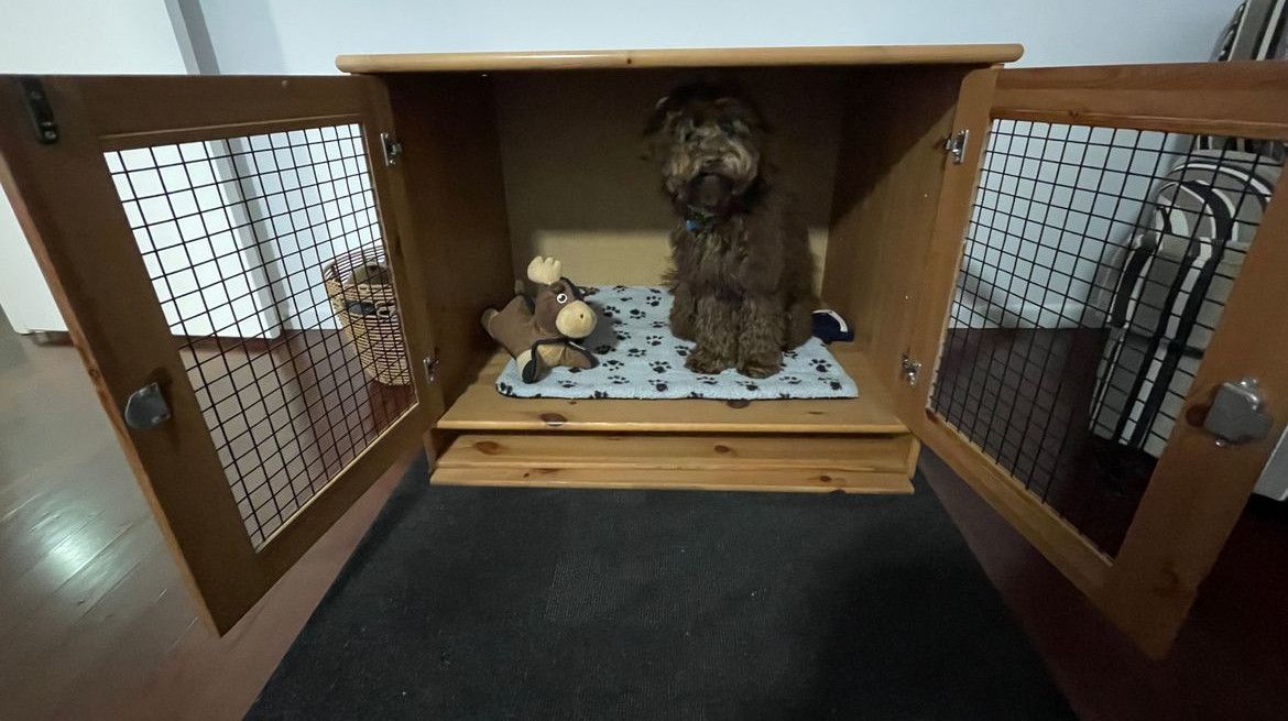 Bunnings diy best sale dog kennel