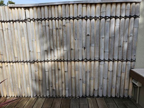 Bamboo on sale fencing bunnings