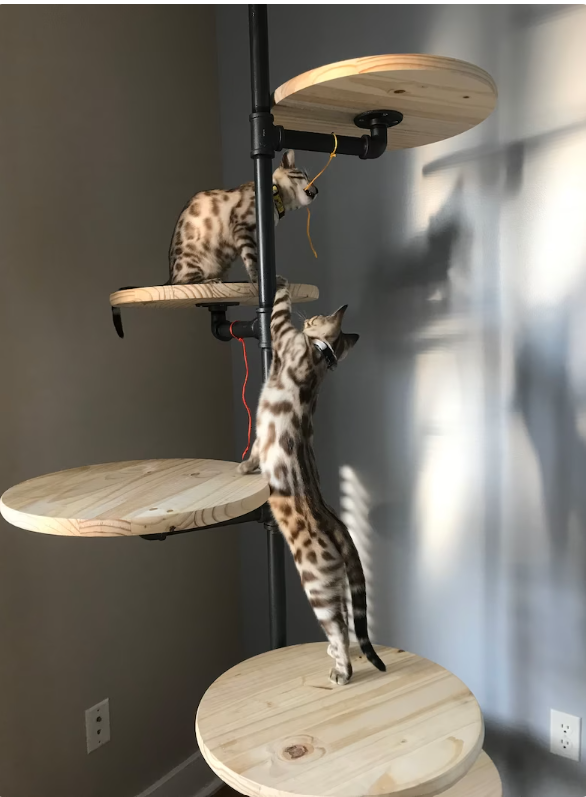 Pvc cat tree diy best sale