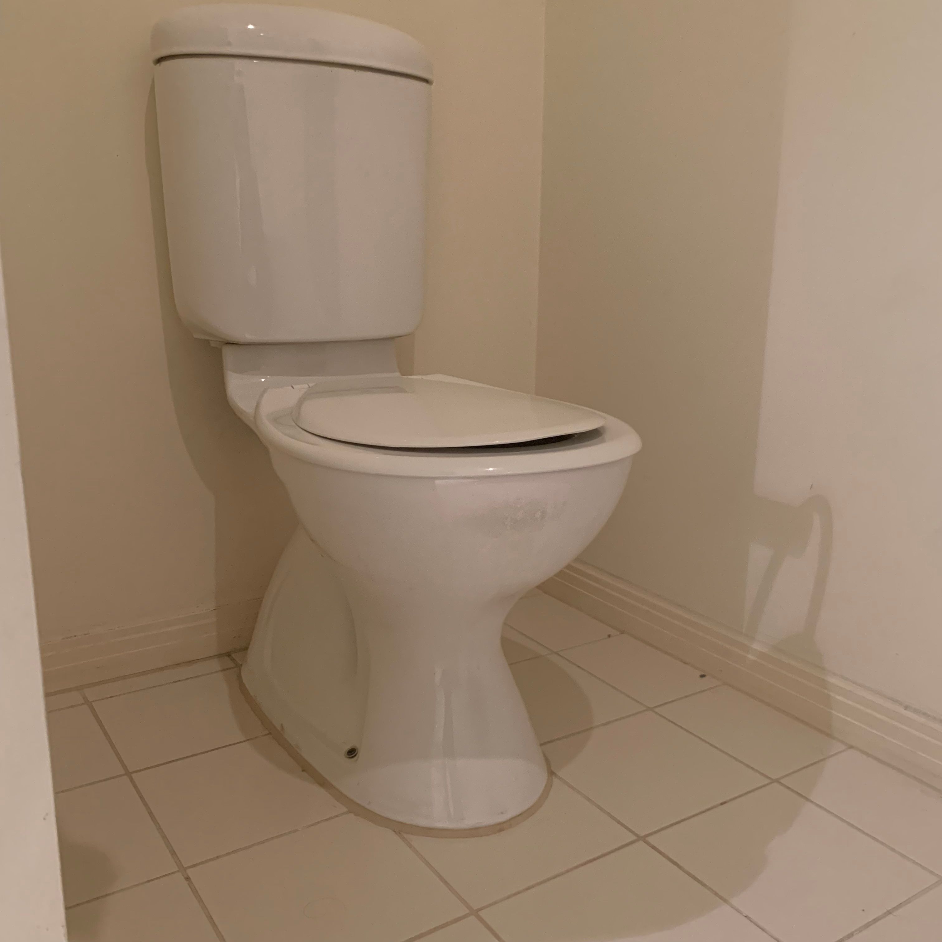 how-to-replace-a-toilet-cistern-bunnings-workshop-community